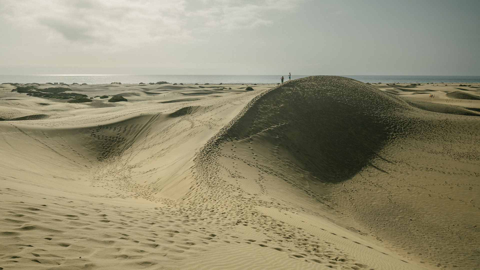 Paisaje de dunas, Islas Canarias Paisaje de dunas, Islas Canarias
