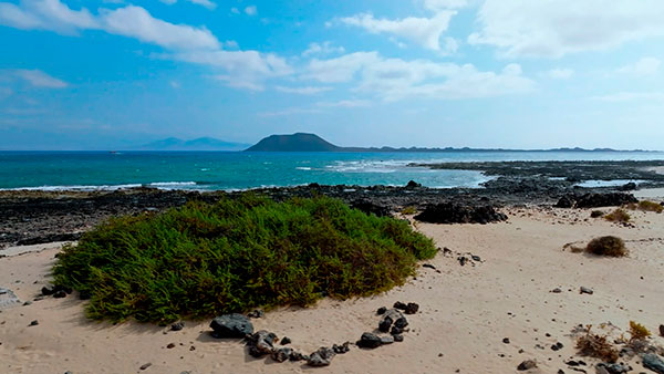 Islas Canarias Islas Canarias