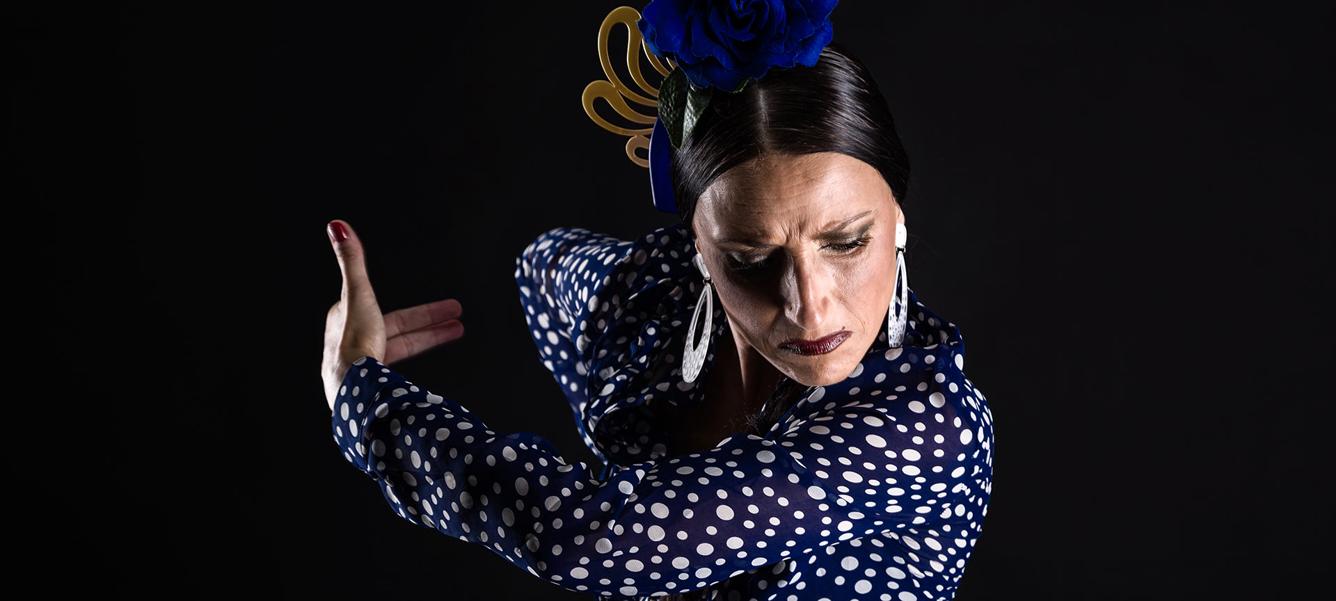 Flamenco dancer Flamenco dancer