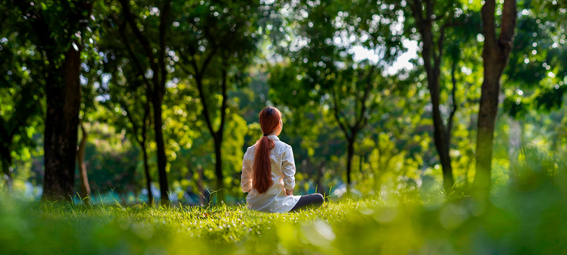 Una donna fa meditazione nel bosco Una donna fa meditazione nel bosco