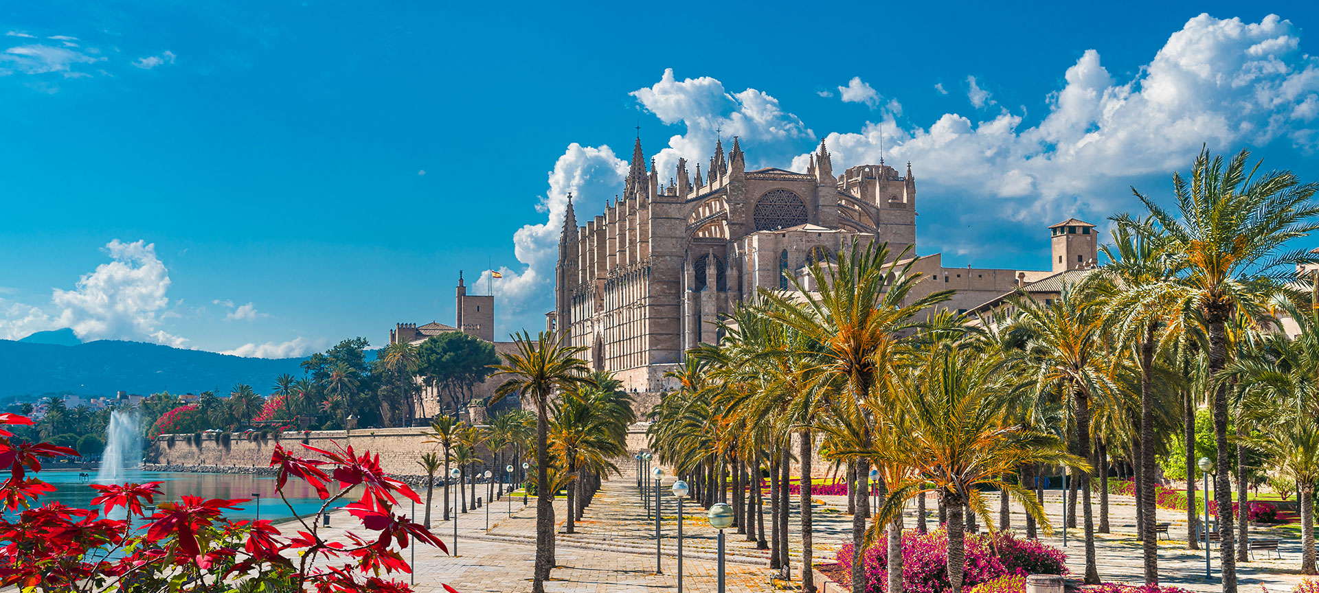 Catedral de Palma de Mallorca Catedral de Palma de Mallorca