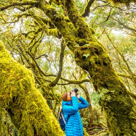 Parque Nacional de Garajonay
