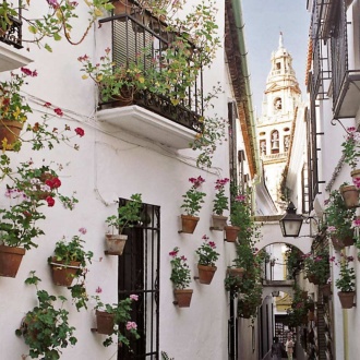 Calleja de las Flores Alley