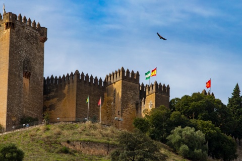 Castelo de Almodóvar del Río, Córdova, Andaluzia
