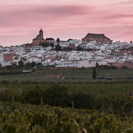 Panorámica de Montilla (Córdoba, Andalucía)