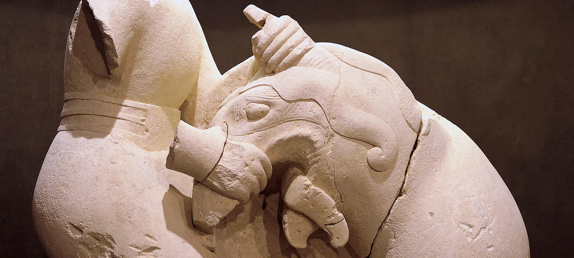 Detail of the sculpture griphomaquia depicting a man fighting a griffin. 5th century Detail of the sculpture griphomaquia depicting a man fighting a griffin. 5th century