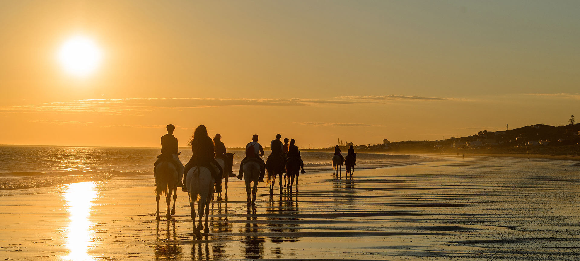 Ruta a caballo en la playa Mazagón, Huelva Ruta a caballo en la playa Mazagón, Huelva