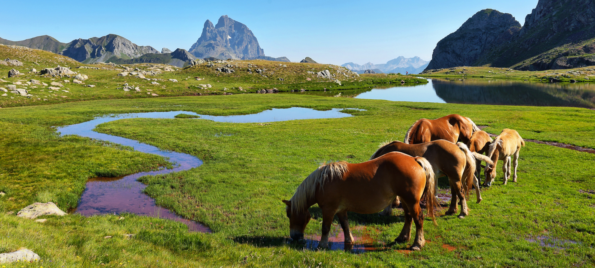 Caballos en el ibón de Anayet, entre Canfranc y Formigal, Huesca Caballos en el ibón de Anayet, entre Canfranc y Formigal, Huesca