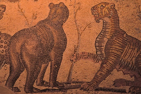 Roman mosaic in the Museum of Zaragoza