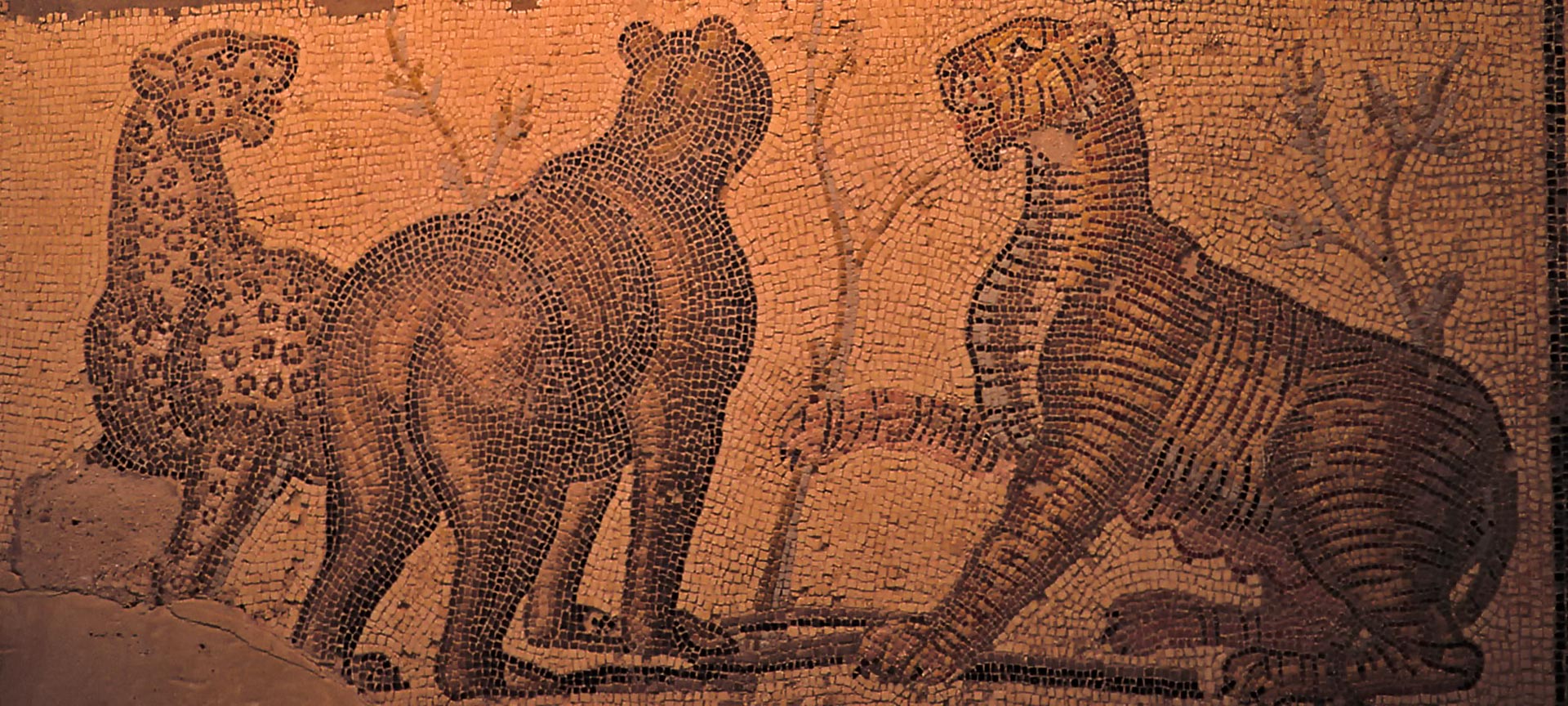 Mosaico romano en el Museo de Zaragoza Mosaico romano en el Museo de Zaragoza