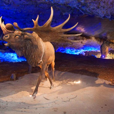 Jaskinia Cuevona de Avín. Asturia.
