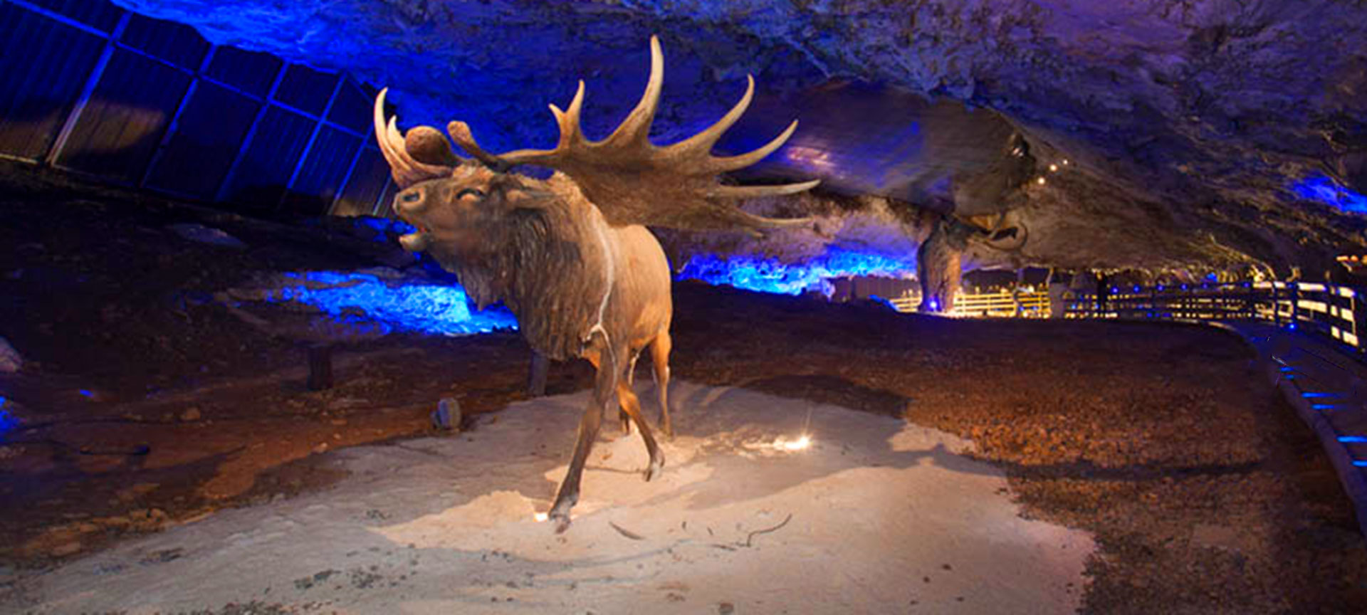 Jaskinia Cuevona de Avín. Asturia. Jaskinia Cuevona de Avín. Asturia.