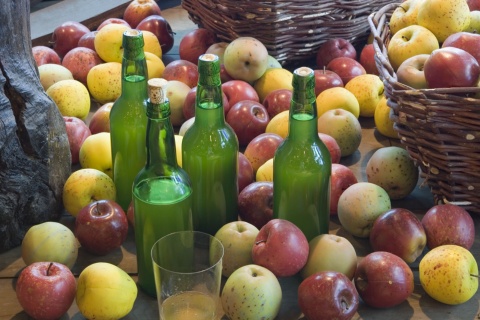 Cider Museum. Nava. Asturias