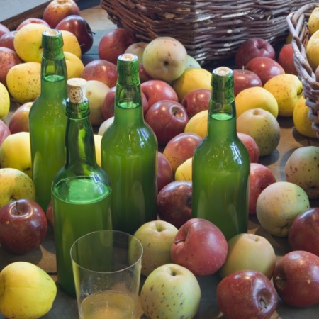 Cider Museum. Nava. Asturias