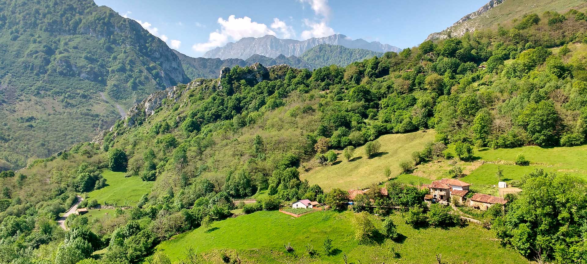 Landscape in Ponga, Asturias Landscape in Ponga, Asturias