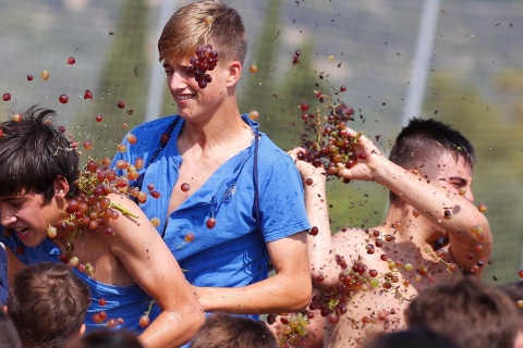 Festa della battaglia dell'uva di Binissalem. Maiorca