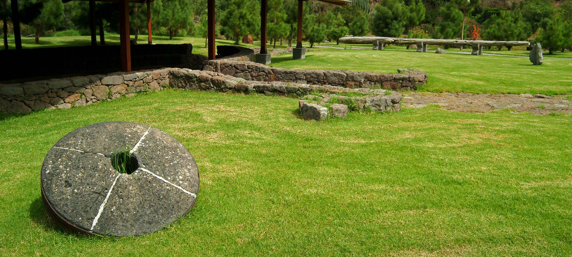 Giardino Botanico Viera y Clavijo Giardino Botanico Viera y Clavijo