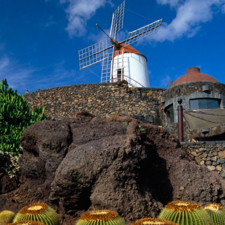Jardin du Cactus, Lanzarote