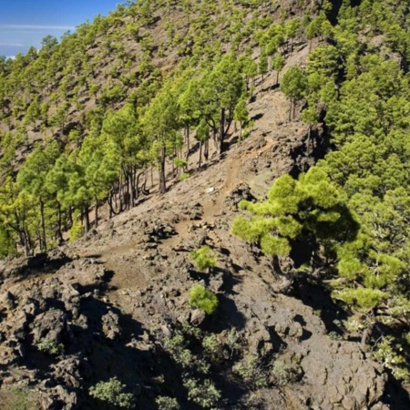 Caldera de Taburiente National Park