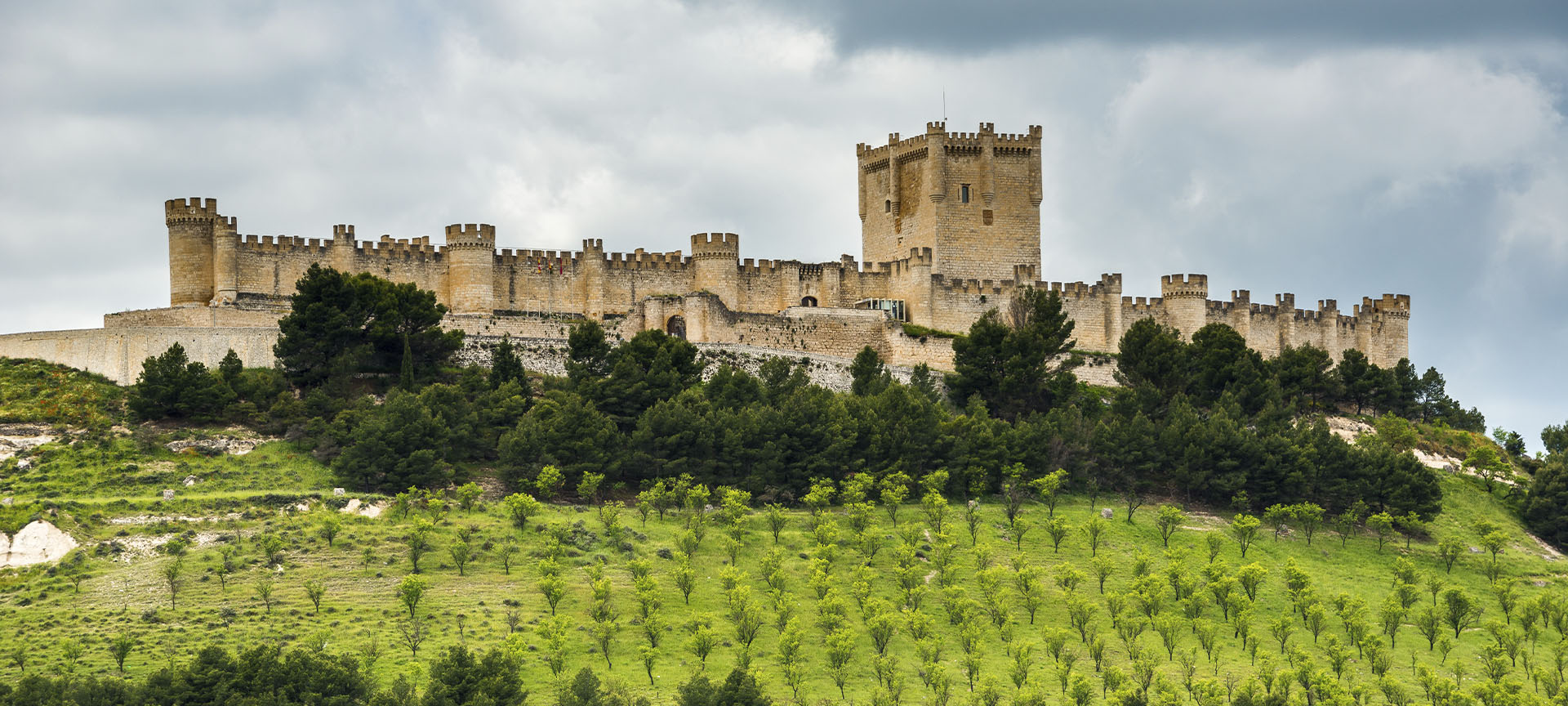 Castillo de Peñafiel. Valladolid Castillo de Peñafiel. Valladolid