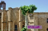 Chiesa Mayor di Nuestra Señora de la Asunción
