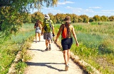 Turistas en el Parque Nacional de las Tablas de Daimiel en Ciudad Real, Castilla-La Mancha