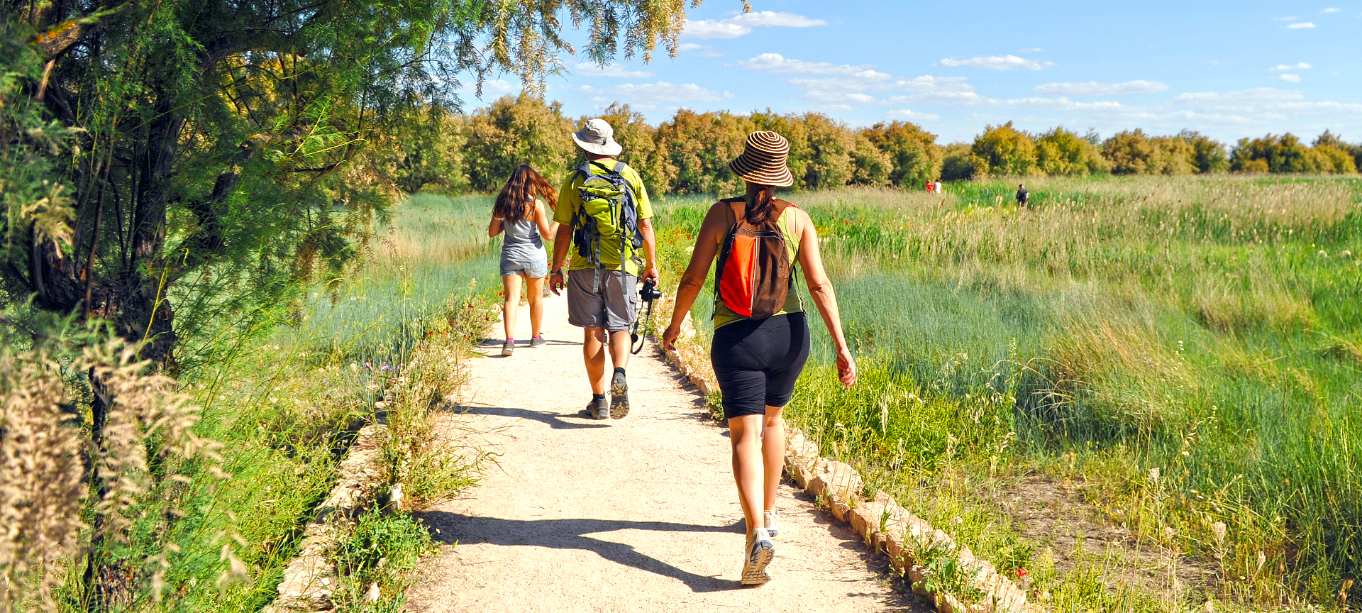 Turistas en el Parque Nacional de las Tablas de Daimiel en Ciudad Real, Castilla-La Mancha Turistas en el Parque Nacional de las Tablas de Daimiel en Ciudad Real, Castilla-La Mancha