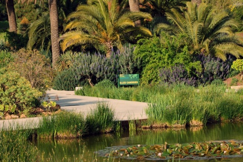 バルセロナ植物園