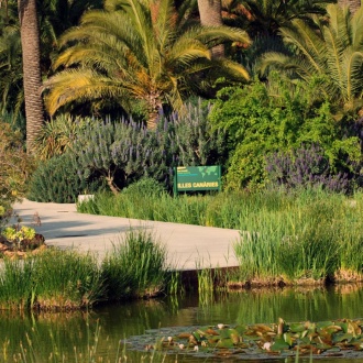 バルセロナ植物園