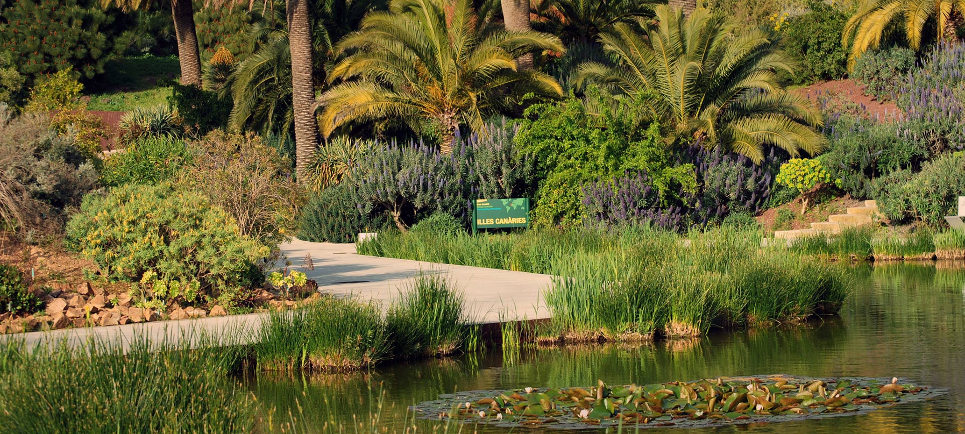 バルセロナ植物園 バルセロナ植物園