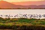 Parc naturel du delta de l'Èbre. Tarragone