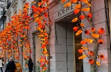 Rua Serrano, em Madri
