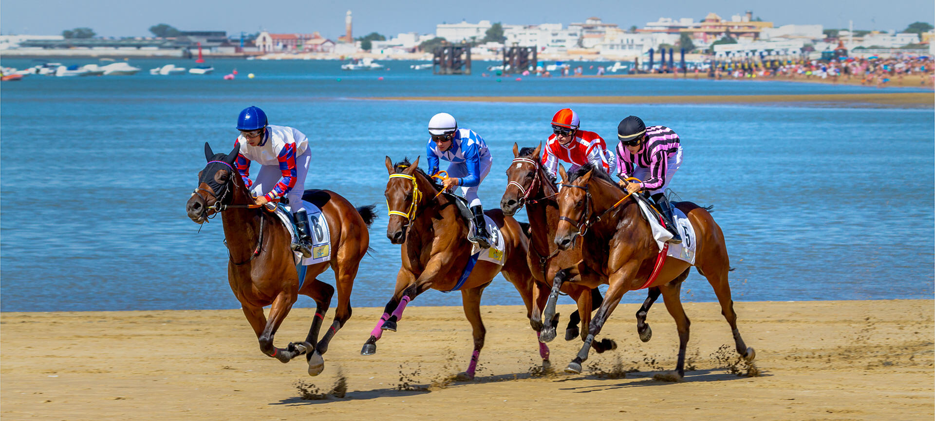 サンルーカル・デ・バラメダビーチで開催される浜競馬、カディス サンルーカル・デ・バラメダビーチで開催される浜競馬、カディス