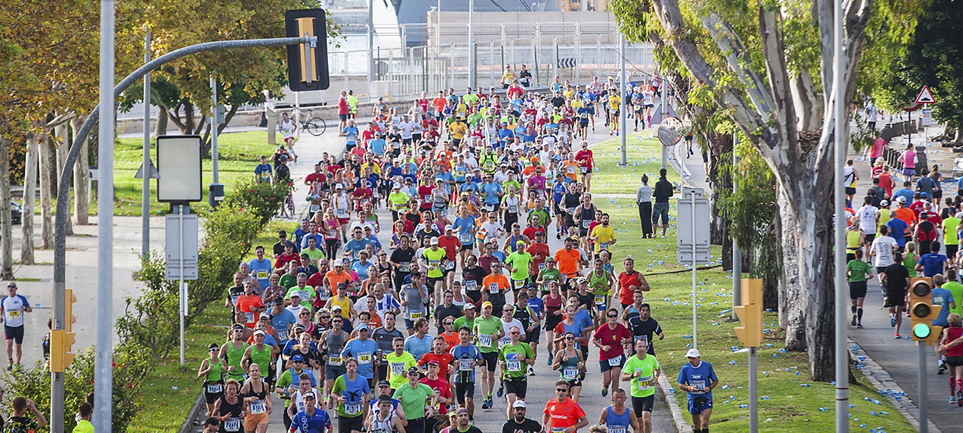 Edición 2016 del Palma Marathon Edición 2016 del Palma Marathon