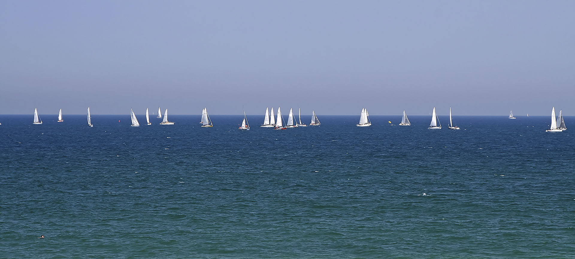 Vela Vela