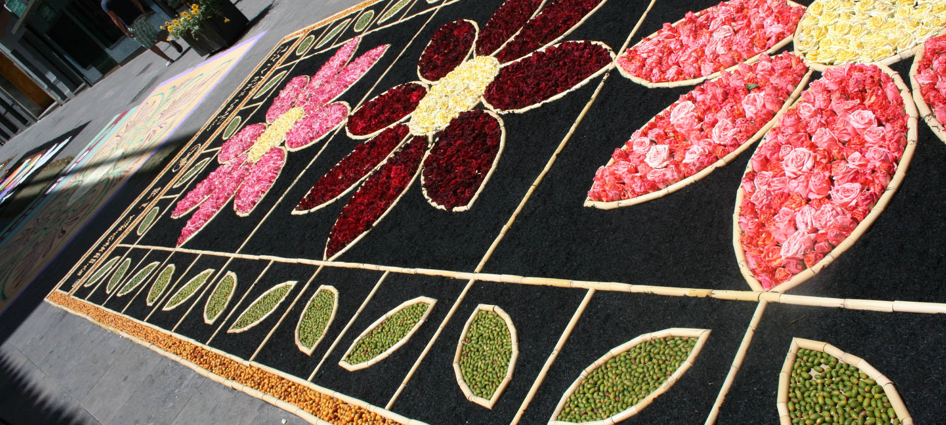 Alfombra de flores característica del Corpus Christi de San Cristóbal de la Laguna, en Tenerife Alfombra de flores característica del Corpus Christi de San Cristóbal de la Laguna, en Tenerife