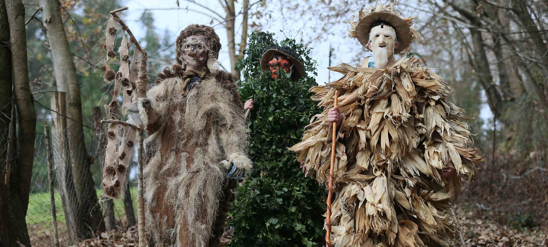 Feste di “La Vijanera” Feste di “La Vijanera”