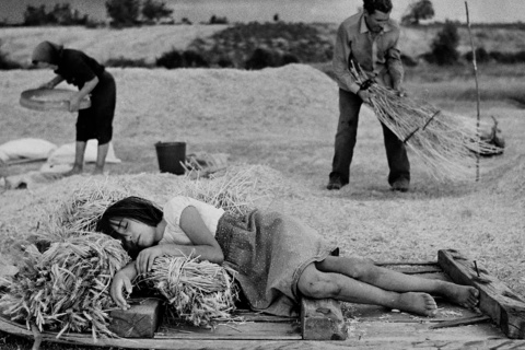 En las eras. Escober,1988