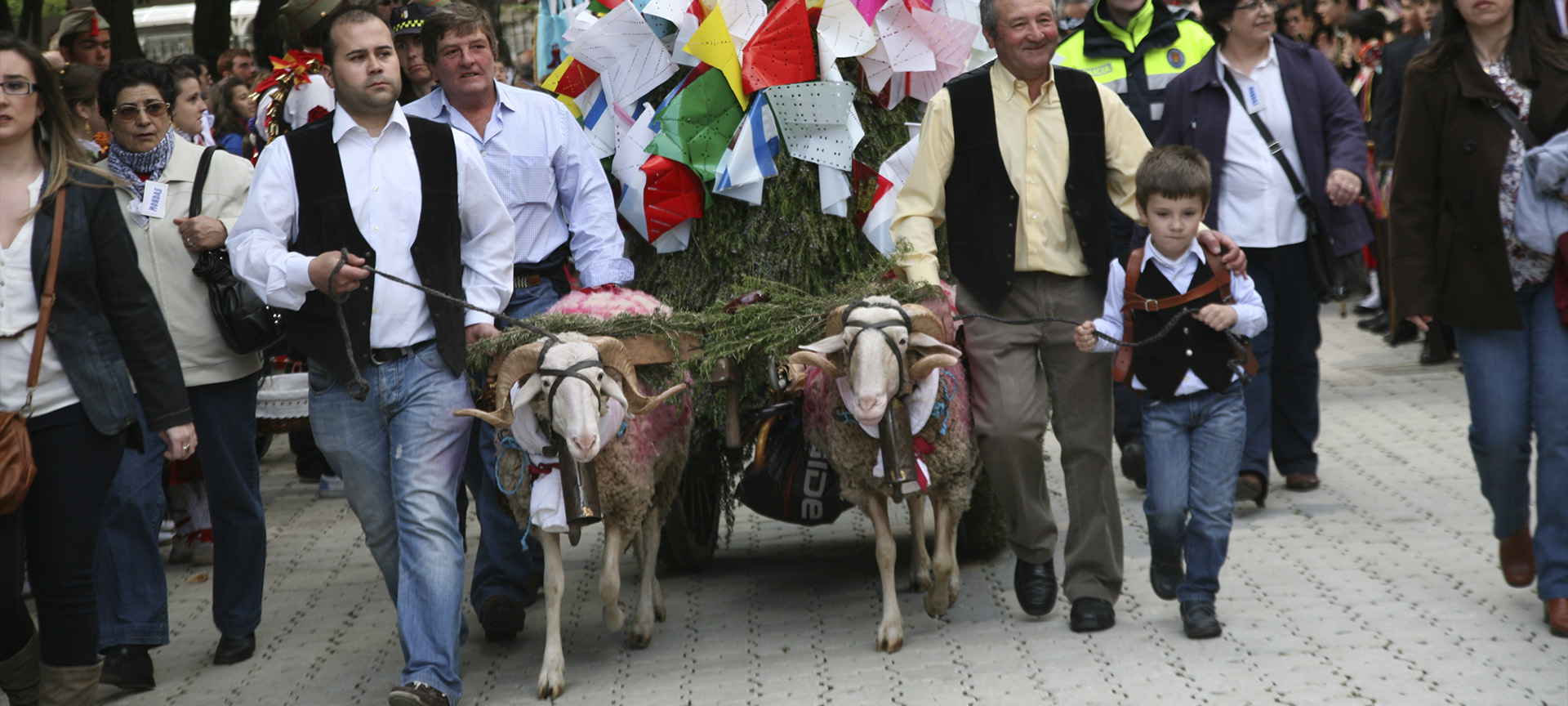 Un carro trainato da due montoni trasporta l'offerta degli abitanti di una frazione durante la festa di Las Mondas, a Talavera de la Reina (Toledo, Castiglia-La Mancia) Un carro trainato da due montoni trasporta l'offerta degli abitanti di una frazione durante la festa di Las Mondas, a Talavera de la Reina (Toledo, Castiglia-La Mancia)