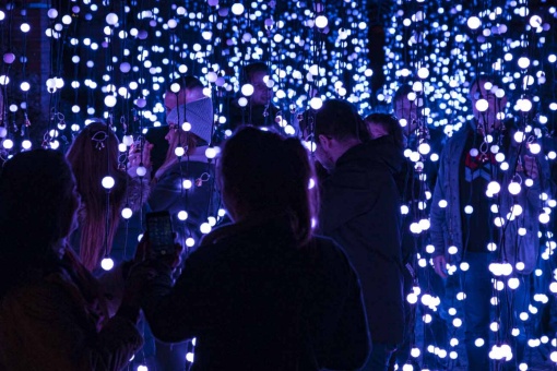 Festive Christmas garden lit up at a prior edition in Berlin