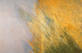 Соледад Севилья, «Диптих Валенсии», 1996 г. Институт современного искусства Валенсии (IVAM). Пожертвование от художницы