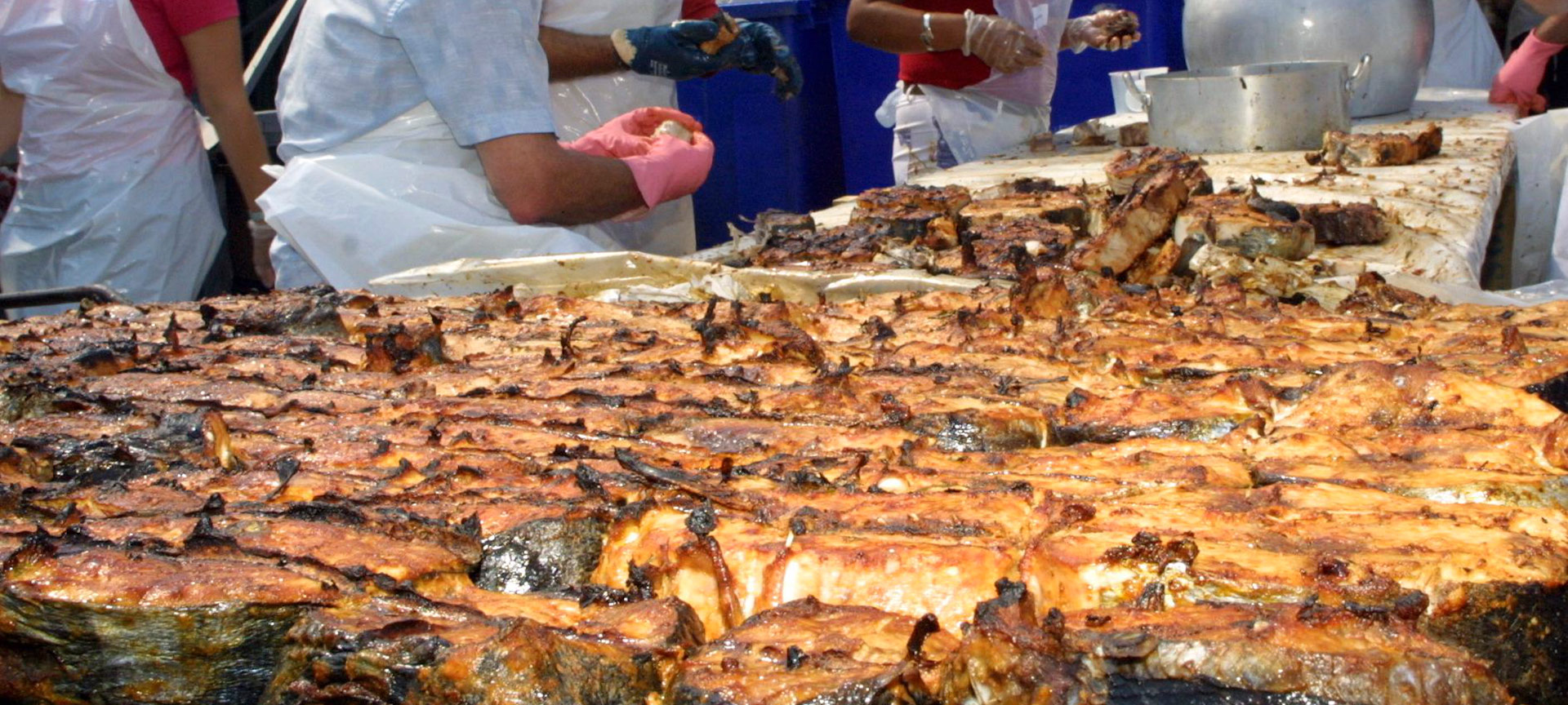 ブレラのカツオ祭り ブレラのカツオ祭り