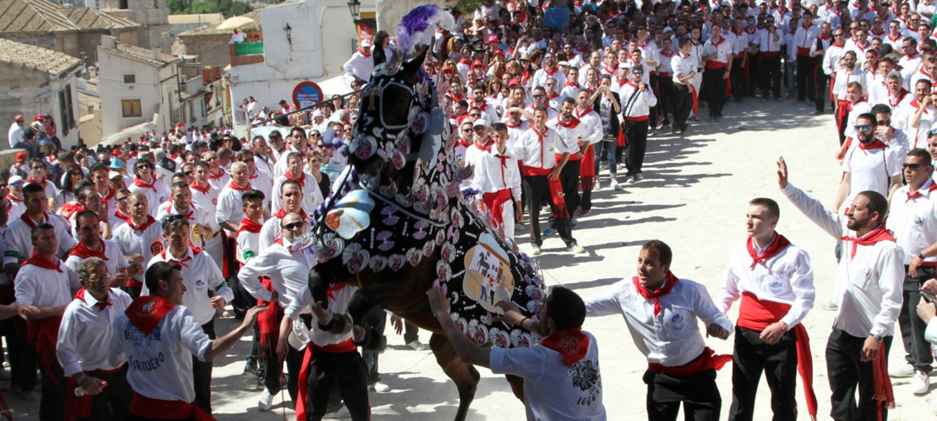 Caballos del Vino de Caravaca de la Cruz Caballos del Vino de Caravaca de la Cruz
