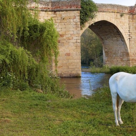 Alte Brück von Galisteo, Cáceres (Extremadura)