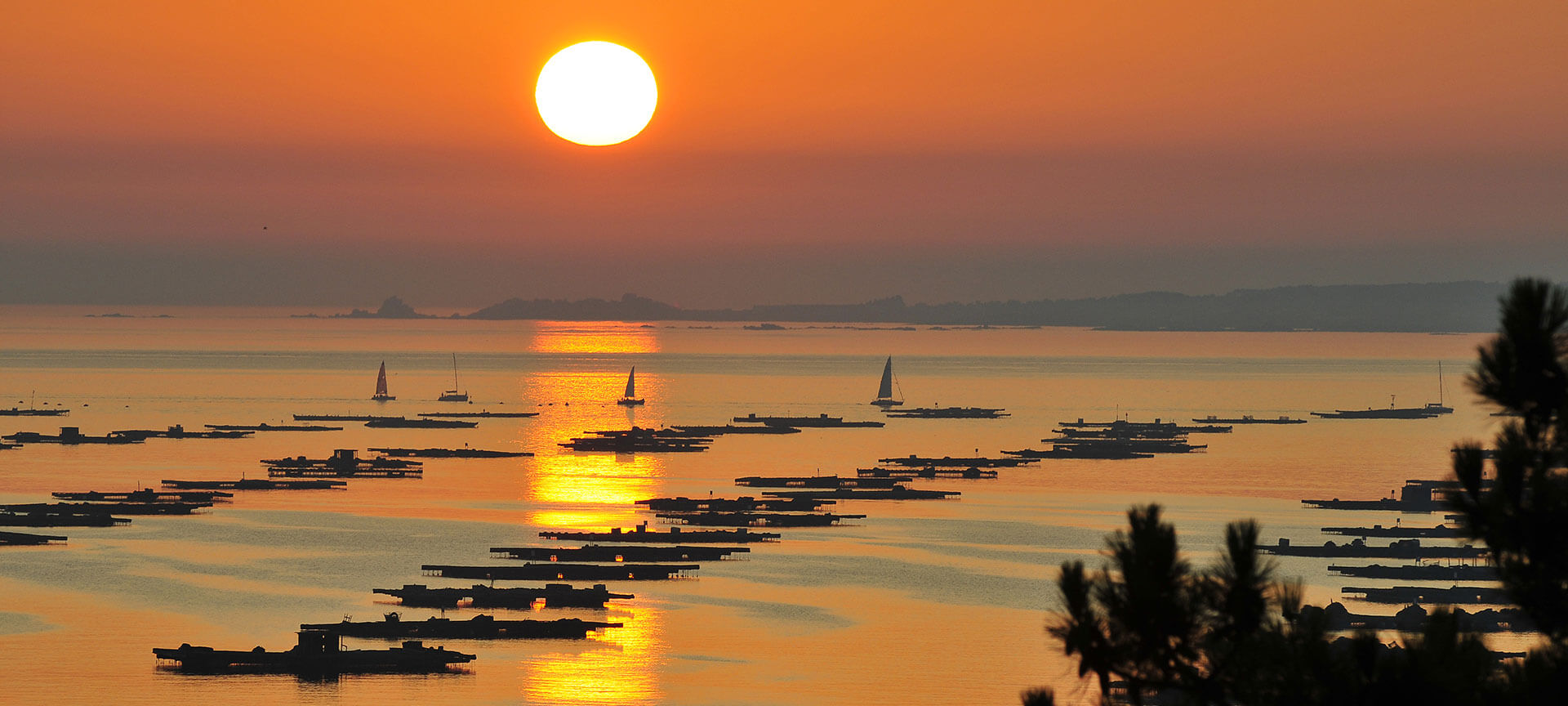 Atardecer en las Rías Baixas, Pontevedra Atardecer en las Rías Baixas, Pontevedra