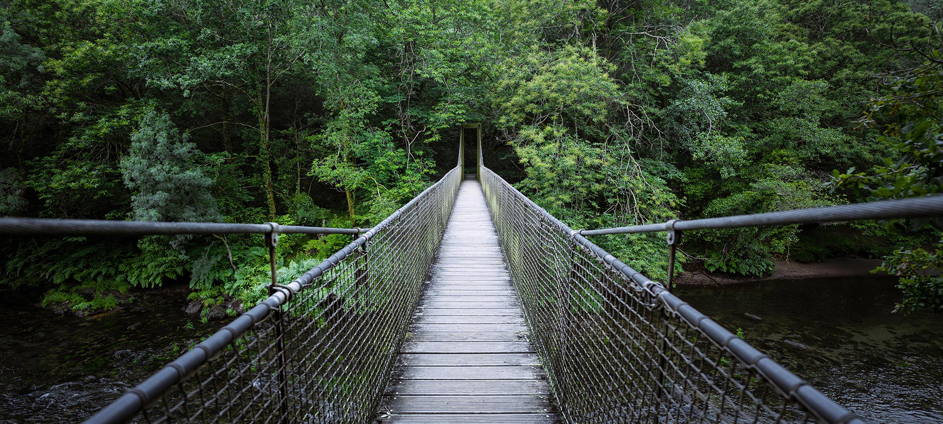 Suspension bridge in the Fragas do Eume Natural Park in A Coruña, Galicia Suspension bridge in the Fragas do Eume Natural Park in A Coruña, Galicia