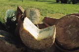 Veduta di Santa María del Naranco, simbolo di Oviedo Formaggio di Cabrales