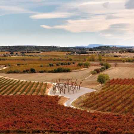 Paisagem do Roteiro do Vinho Somontano