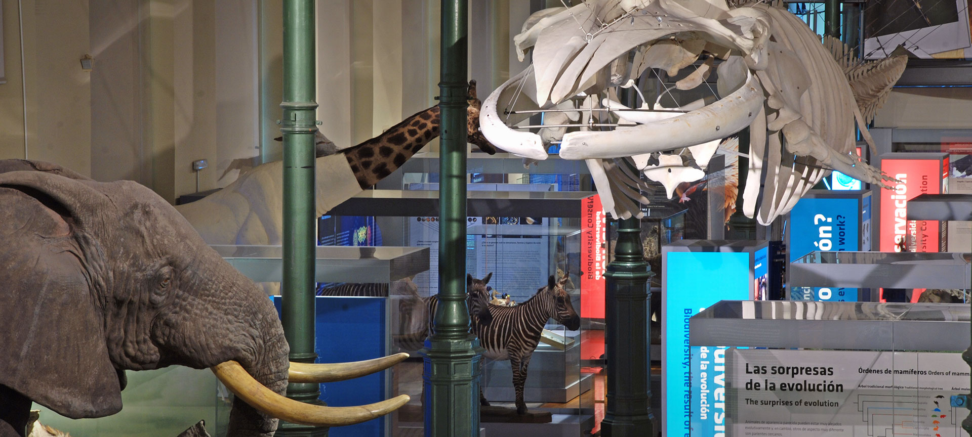 Musée national des sciences naturelles Musée national des sciences naturelles
