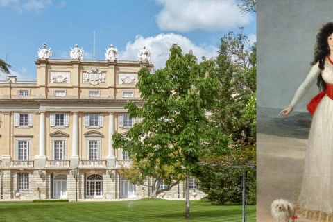   Gardens of the Liria Palace and Goya's portrait of the Duchess of Alba